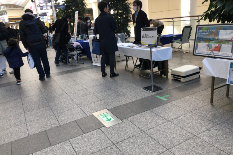 YOXO FESTIVALの実証実験＆スタートアップエリア