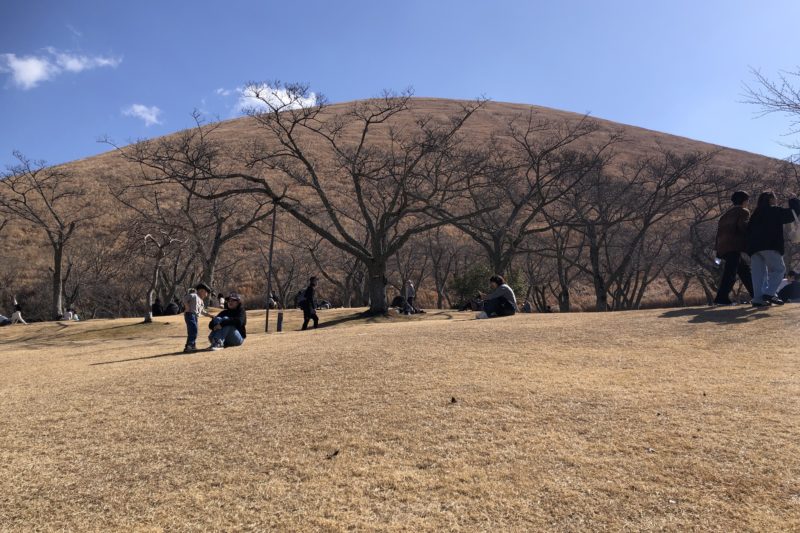 大室山山焼き待ち