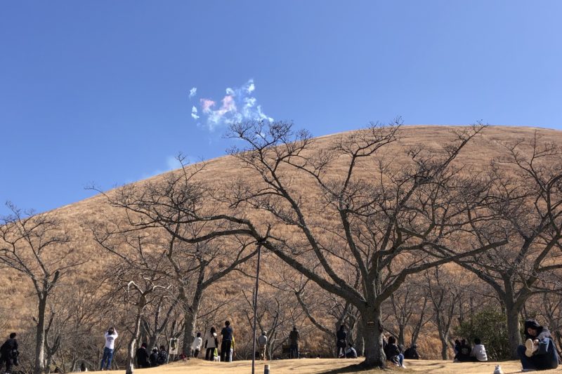大室山の山焼き開始の花火