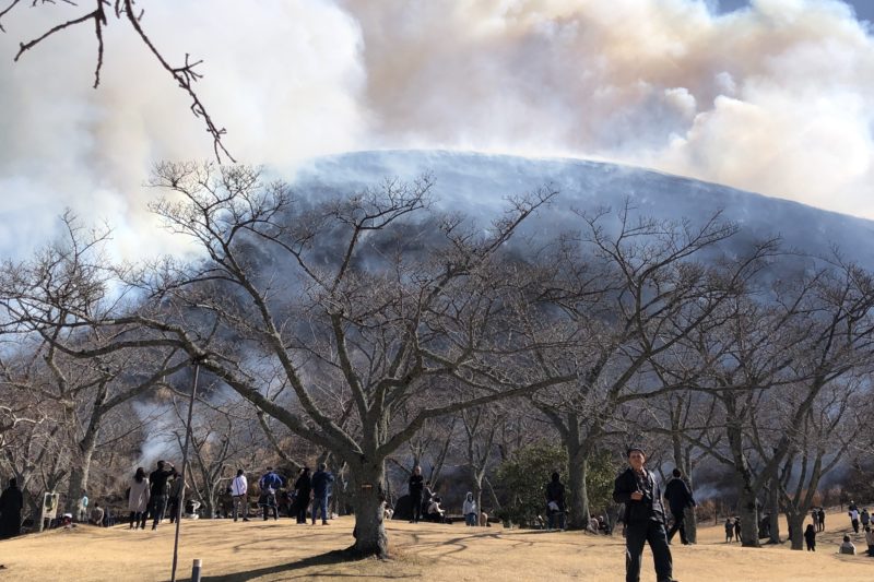 大室山の山焼きが済んで真っ黒になった山