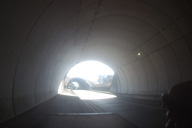 小田原フラワーガーデンへの激坂