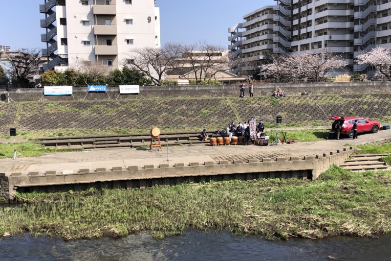 戸塚桜まつりの太鼓
