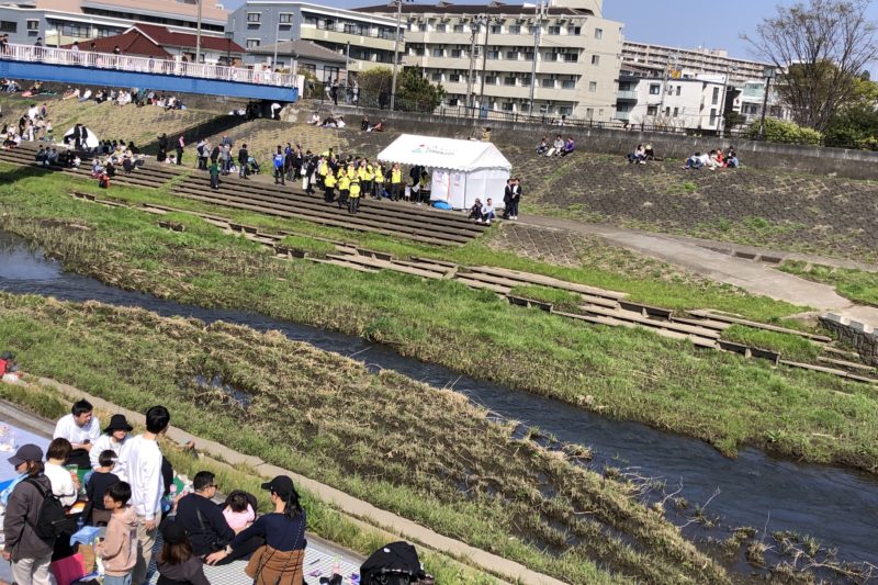戸塚桜まつりの本部