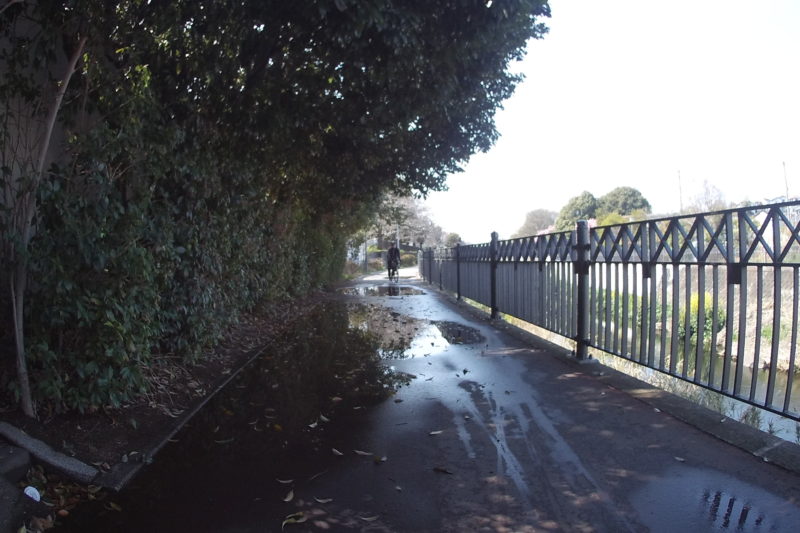 いたち川ぞいで水がたまる場所