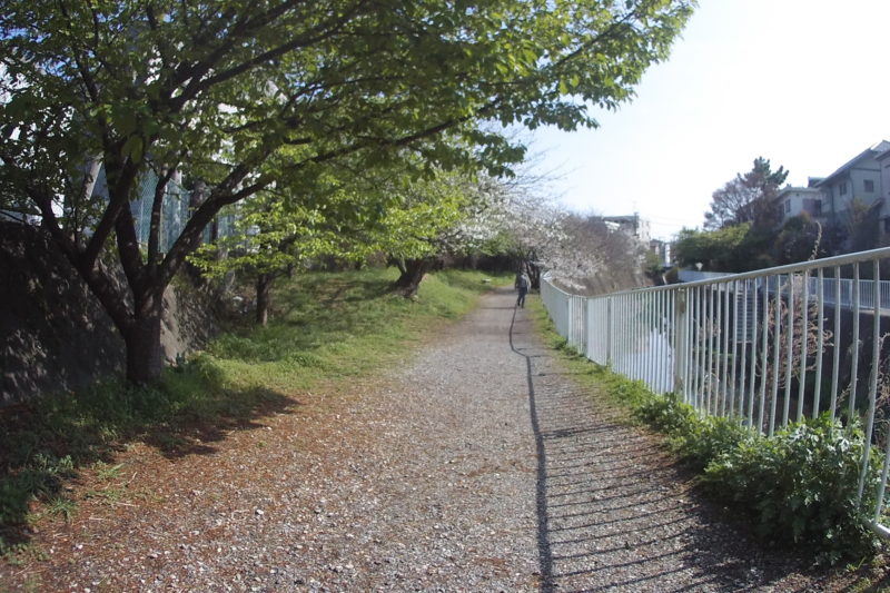 平戸永谷川ぞい