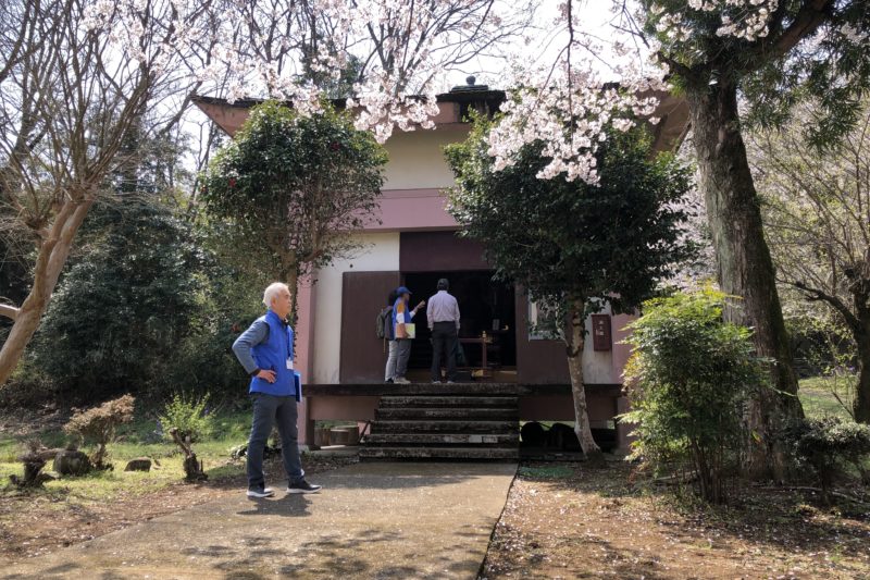 金剛寺の阿弥陀如来像